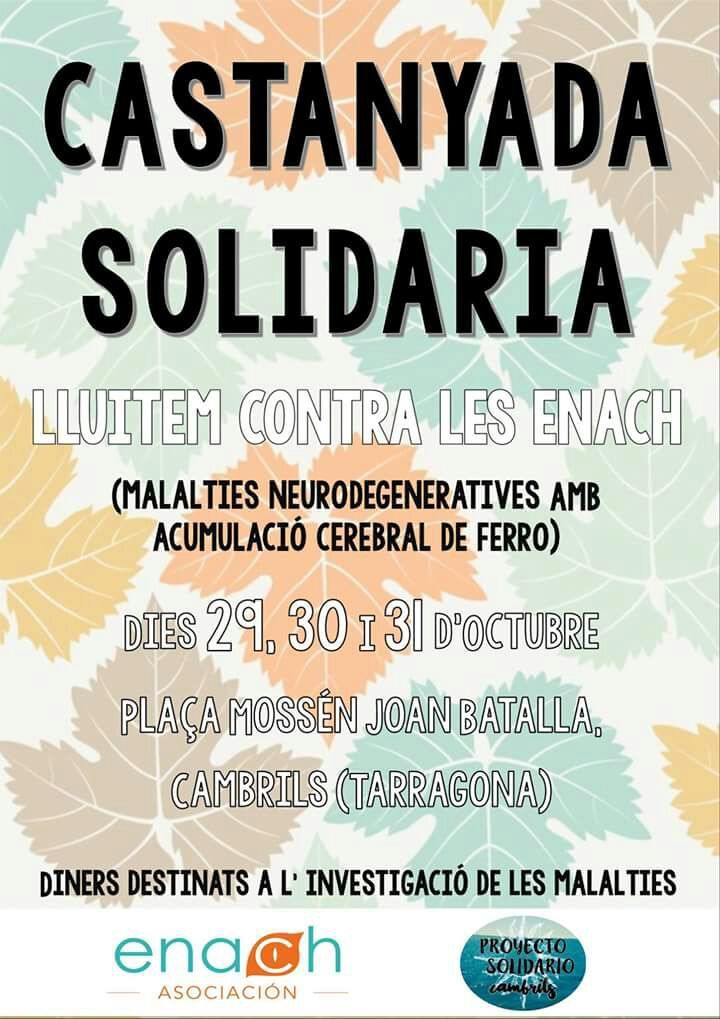 castanyada-solidaria